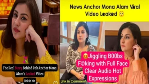 Mona Alam Famous Pakistani News Anchor Viral Fucking Clear Audio HD Porn