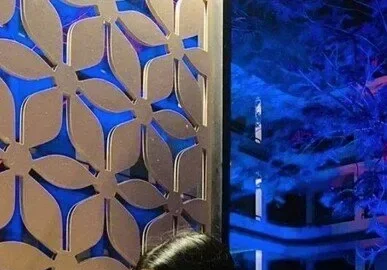 Sexy Horny Bengali Babe MORE Clip HD Porn
